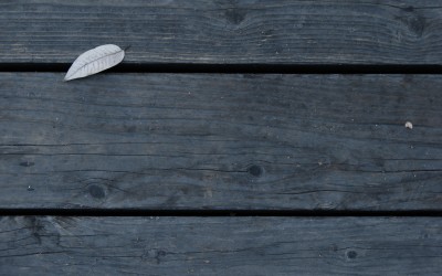 Dile la verdad, pero con cariño