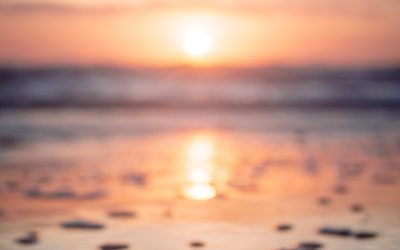 Mindfulness y gestión emocional